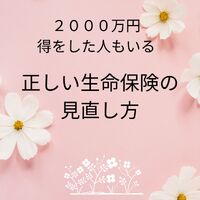 画像1384